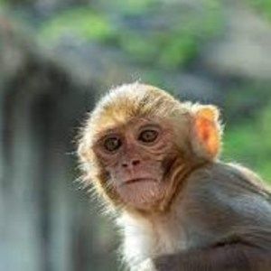 Meet your Posher, Calvin